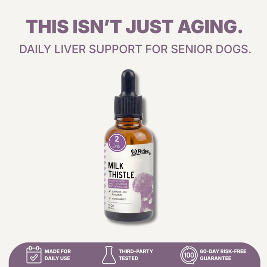 Dermbal EvenCare 4-in-1 Lotion